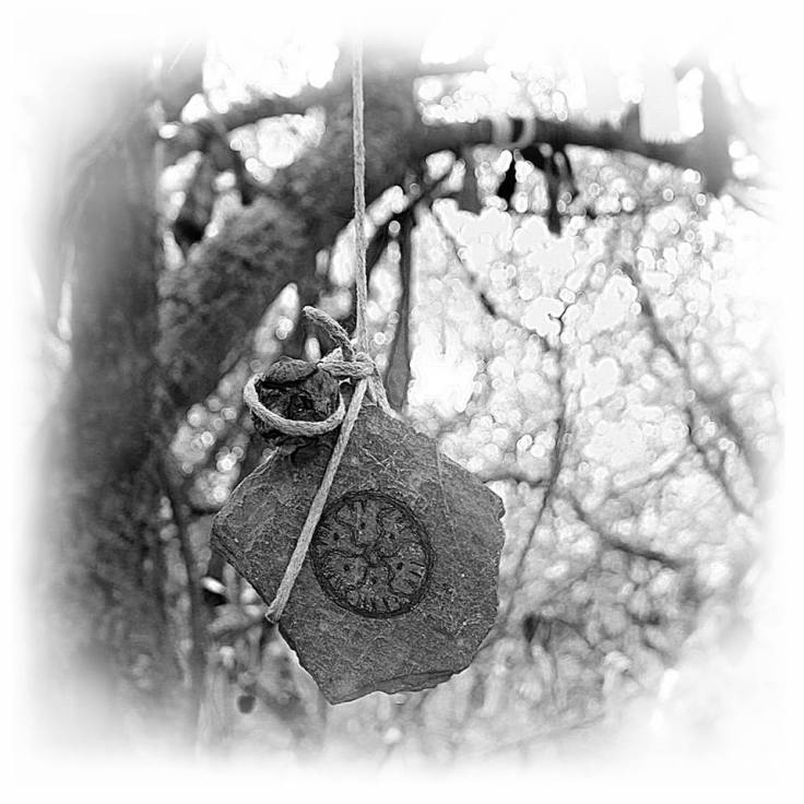 Chapter illustration by Angie Latham charm